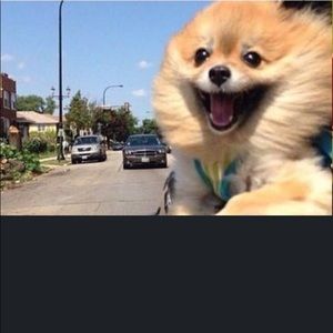 EVERYTHING IN MY CLOSET 50% OFF!!